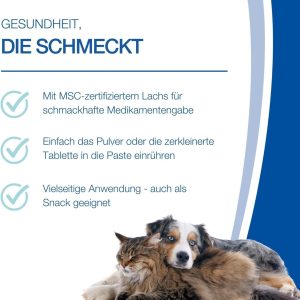 NutriLabs NuSnack® Hunde & Katzen Snacks 25 Sachets à 10 g - Abgabehilfe-Snack für Hunde & Katzen - Leckerli mit Lachsgeschmack - Leckereien für Katzen & Hunde für Medikamente etc. 10