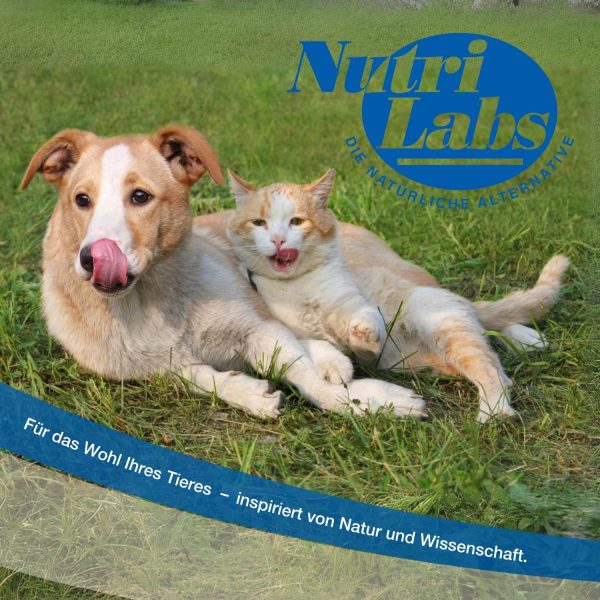 NutriLabs NuSnack® Hunde & Katzen Snacks 25 Sachets à 10 g - Abgabehilfe-Snack für Hunde & Katzen - Leckerli mit Lachsgeschmack - Leckereien für Katzen & Hunde für Medikamente etc. 7
